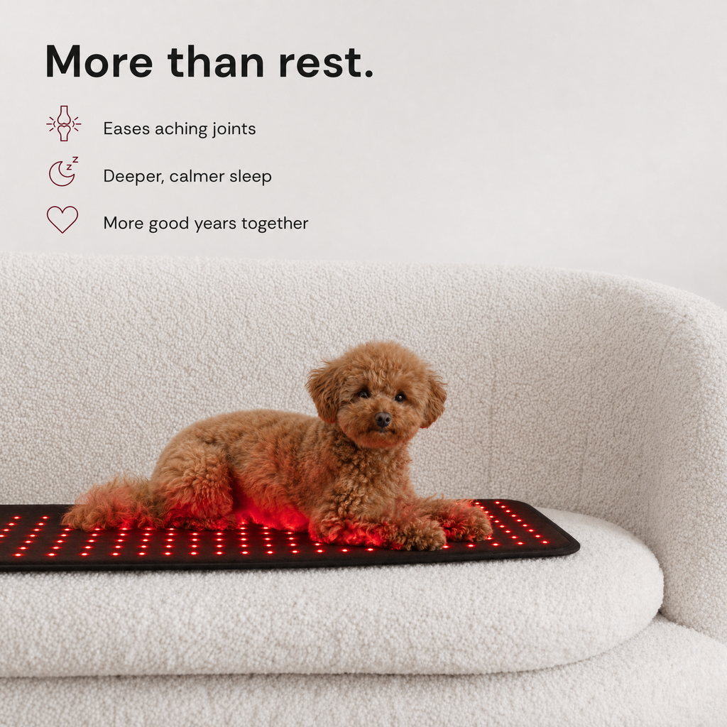 Red Light Recovery Mat for Senior Dogs