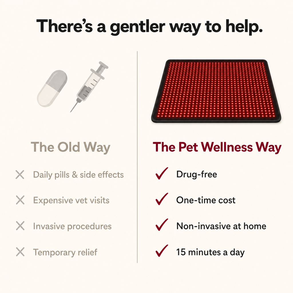 Red Light Recovery Mat for Senior Dogs