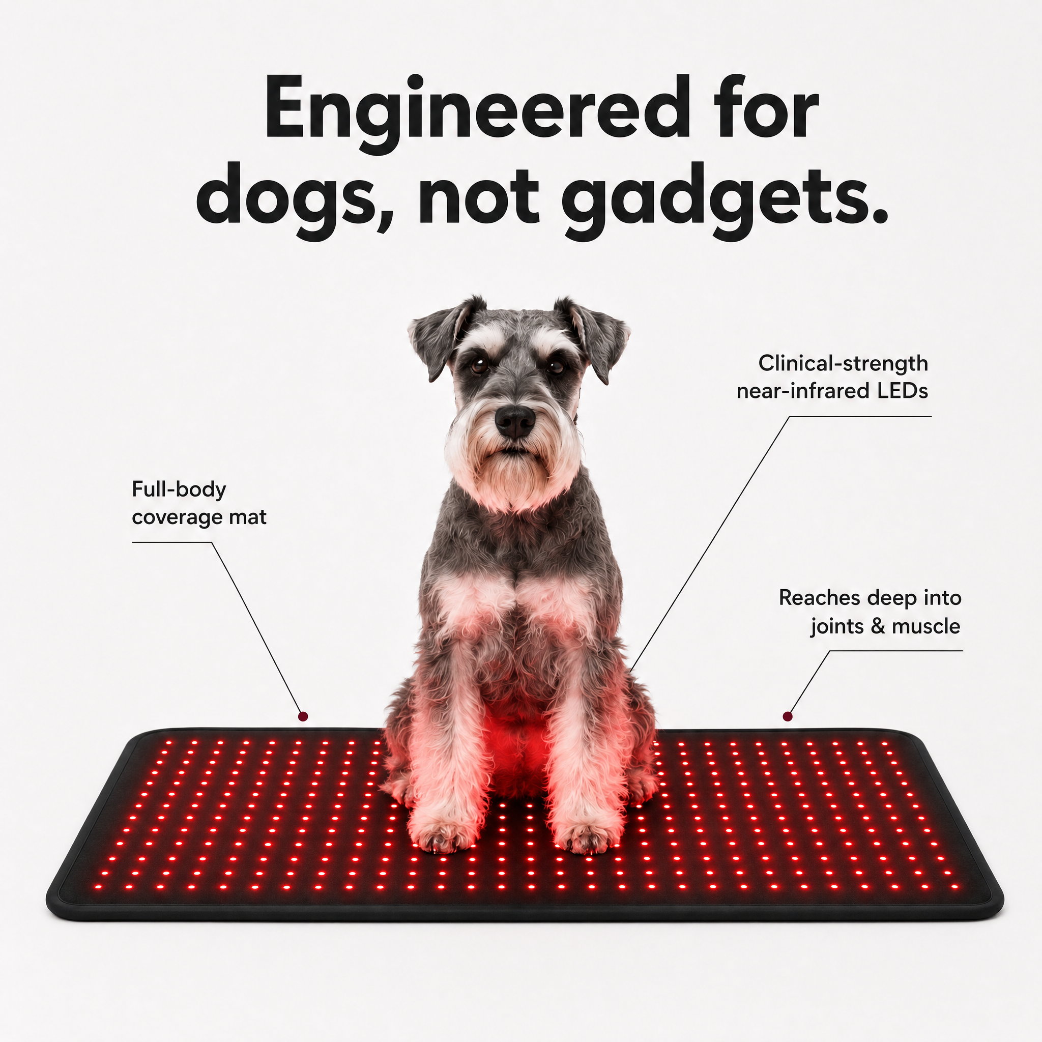 Red Light Recovery Mat for Senior Dogs