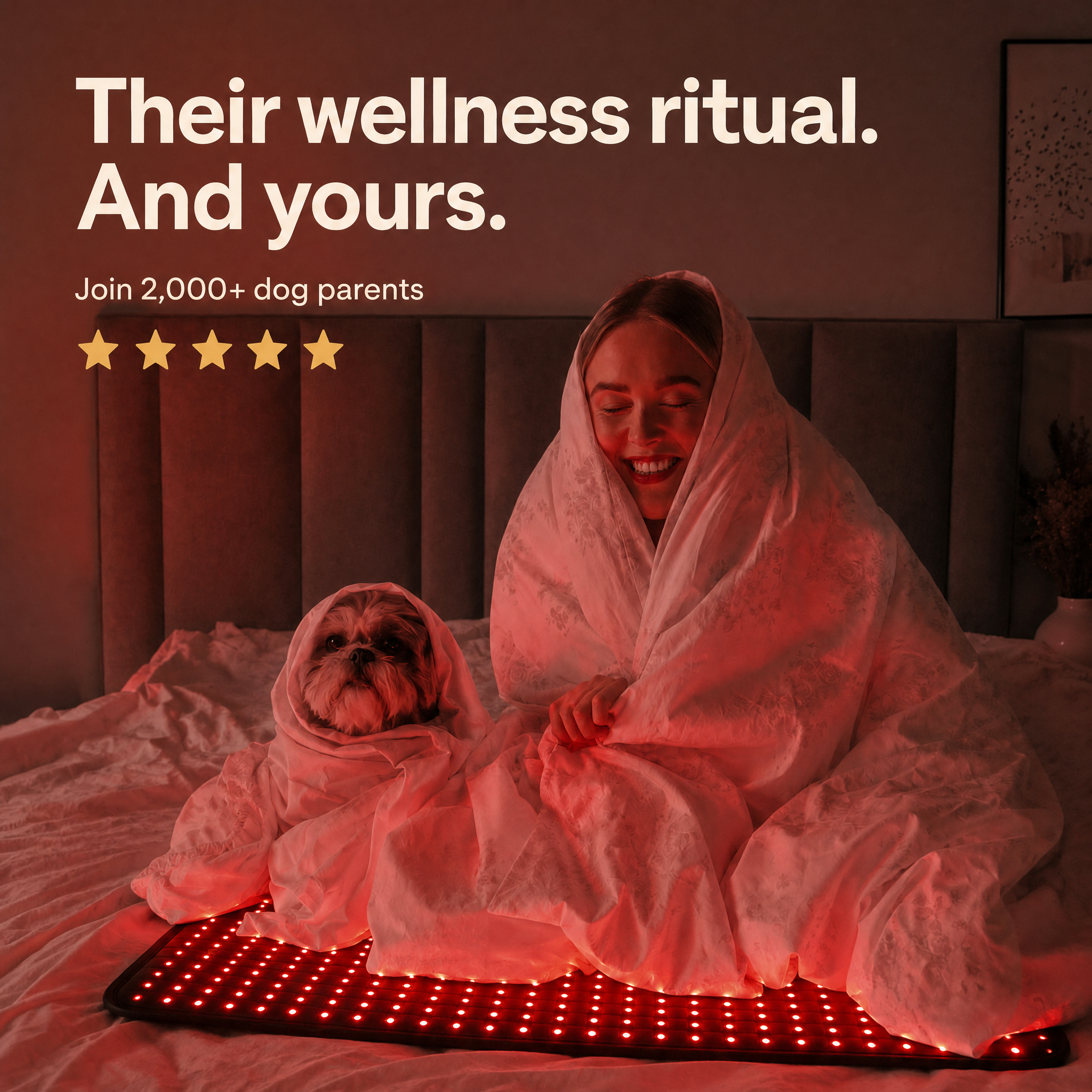 Red Light Recovery Mat for Senior Dogs