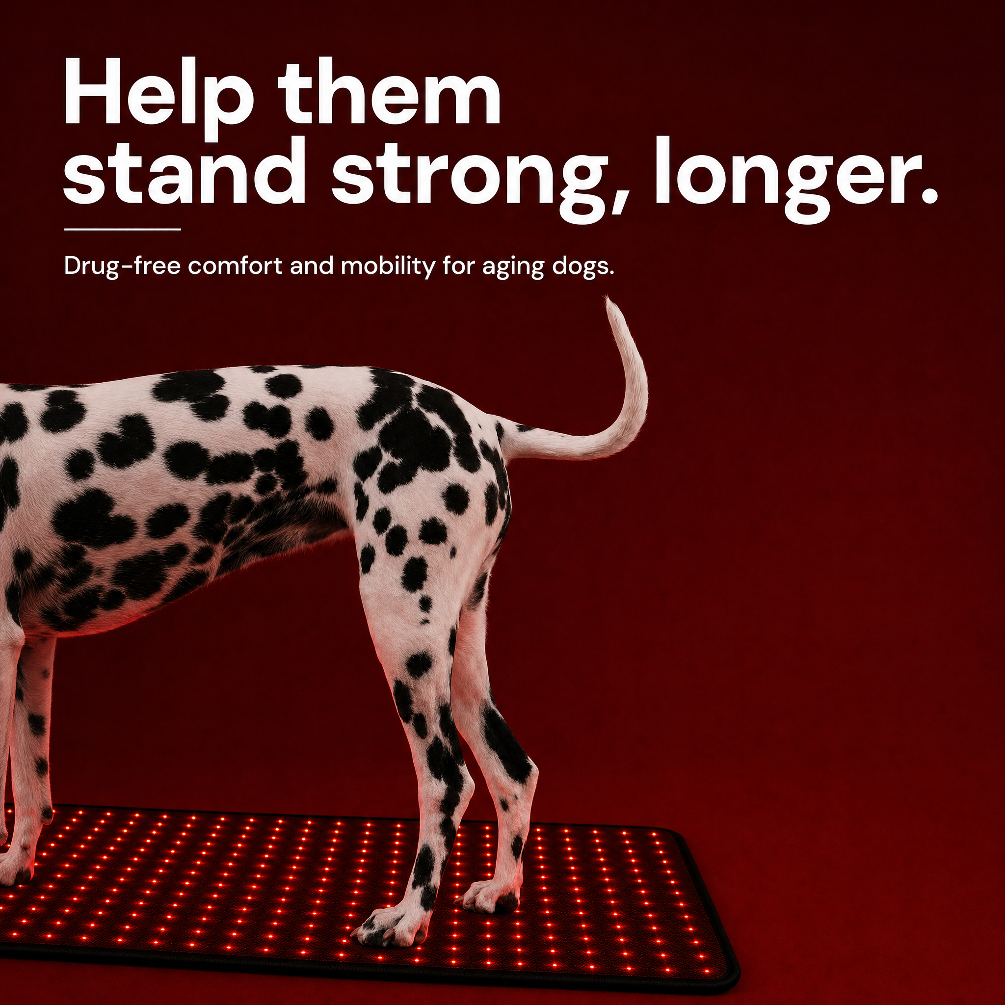 Red Light Recovery Mat for Senior Dogs